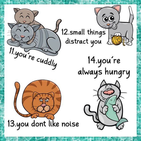 Signs-that-you-are-secretly-a-cat-11-12-13-14