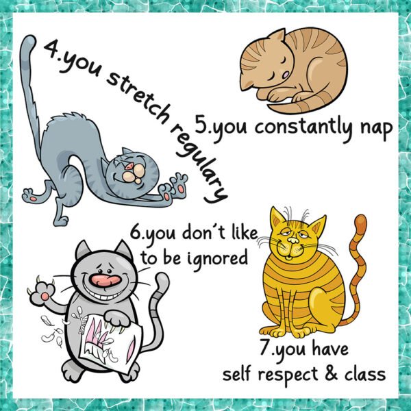 Signs-that-you-are-secretly-a-cat-4-5-6-7