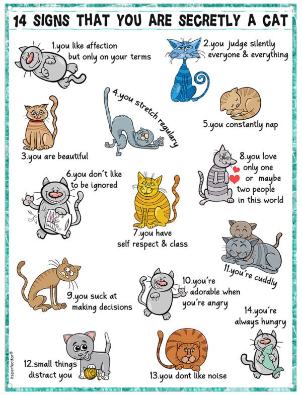 Signs-that-you-are-secretly-a-cat-metal-sign