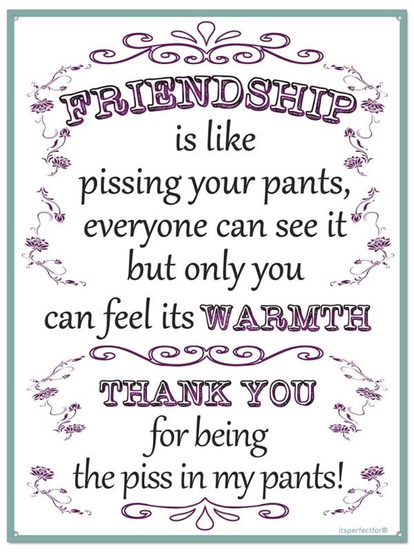 Friendship is Like Pissing Your Pants - Funny Quote Metal Sign for a Friend - 3 Sizes
