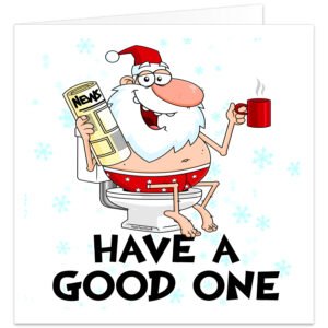 **Alt text:** Funny Christmas card featuring a cartoon Santa Claus sitting on a toilet wearing a Santa hat and festive red boxer shorts, holding a newspaper and a mug, with the caption "Have A Good One" on a snowy blue background. Blank inside with envelope included.