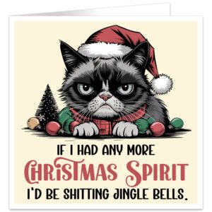 Grumpy-Cat-If-I-Had-Any-More-Christmas-Spirit-card