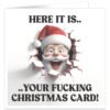 Here-it-is-your-fing-christmas-card