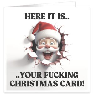 Here-it-is-your-fing-christmas-card
