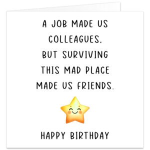 A-job-made-us-colleagues-Surviving-mad-place-friends-Birthday-card
