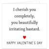 I-cherish-you-completely-You-beautifully-irritating-bastard