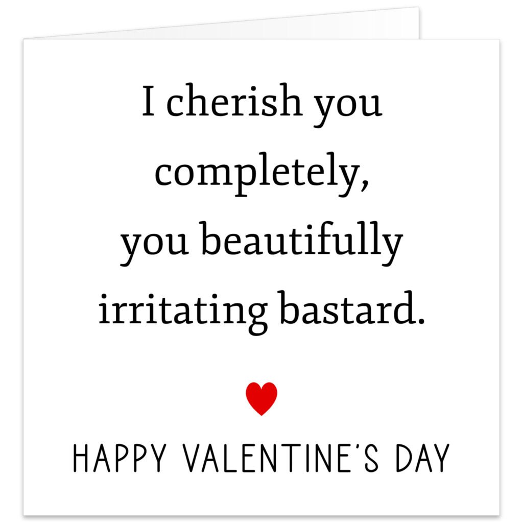 I-cherish-you-completely-You-beautifully-irritating-bastard