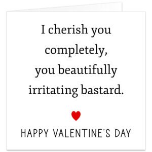 I-cherish-you-completely-You-beautifully-irritating-bastard