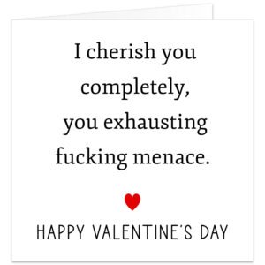 I-cherish-you-completely-You-exhausting-fing-menace-valentine-card