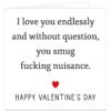 I-love-you-endlessly-and-without-question-you-smug-fing-nuisance