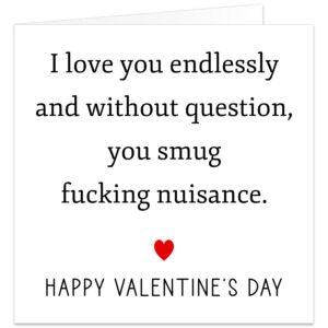 I-love-you-endlessly-and-without-question-you-smug-fing-nuisance