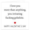 I-love-you-irritating-fing-gobshte-valentines-day-card