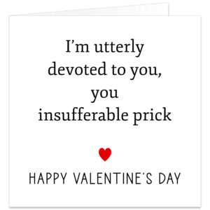 Im-utterly-devoted-to-you-you-insufferable-prick