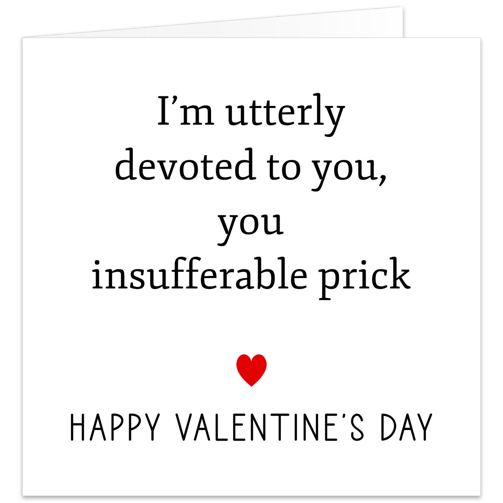 Im-utterly-devoted-to-you-you-insufferable-prick