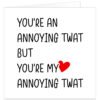 youre-my-annoying-twat