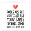 Roses-are-red-your-farts-stink-i-still-love-you