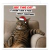 Funny rude Christmas card featuring an unimpressed tabby cat wearing a Father Christmas hat, sitting in an armchair with a cheeky sweary festive message.