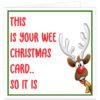 Funny Northern Irish Christmas card featuring a cheeky cartoon reindeer with red nose and oversized antlers, with the message “This is your wee Christmas card... so it is” in red and green.
