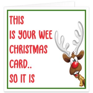 Funny Northern Irish Christmas card featuring a cheeky cartoon reindeer with red nose and oversized antlers, with the message “This is your wee Christmas card... so it is” in red and green.