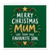 Funny Christmas card for Mum from her son featuring the text “Merry Christmas Mum. Love From Your Favourite Son.” Modern text-led design on a rich festive green background with large textured gold “Mum” lettering, white typography, gold star and heart. Decorated with holly, red berries, evergreen foliage, small gold stars and white festive dots. Square 14.8 cm card with a warm, playful Christmas design.