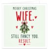 Funny Christmas card for wife from husband featuring the text “Merry Christmas Wife. Still Fancy You. Result.” Large red Wife lettering sits above a hand-drawn green mistletoe sprig tied with a red bow and surrounded by small red hearts. “Still Fancy You” appears in dark green with “Result” in red below, set against a pale green background for a clean, cheeky romantic festive design.