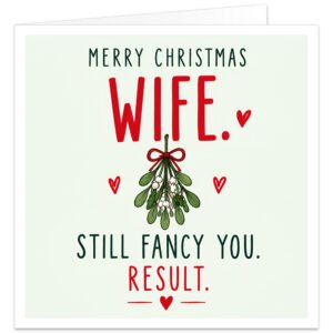 Funny Christmas card for wife from husband featuring the text “Merry Christmas Wife. Still Fancy You. Result.” Large red Wife lettering sits above a hand-drawn green mistletoe sprig tied with a red bow and surrounded by small red hearts. “Still Fancy You” appears in dark green with “Result” in red below, set against a pale green background for a clean, cheeky romantic festive design.